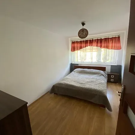 Guest house Niutek