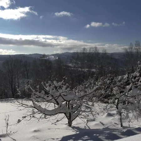 Chalet Dom Przy Lesie