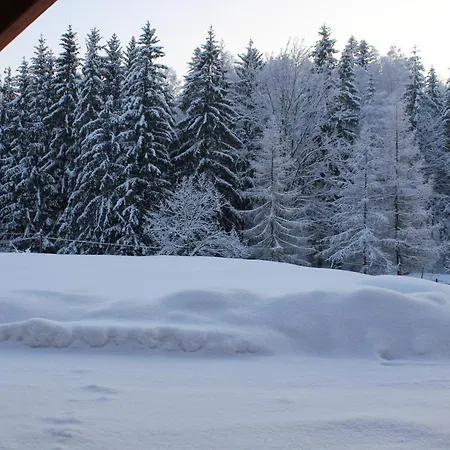 Bed & Breakfast Cudne Manowce Wisla