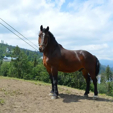 Skalka