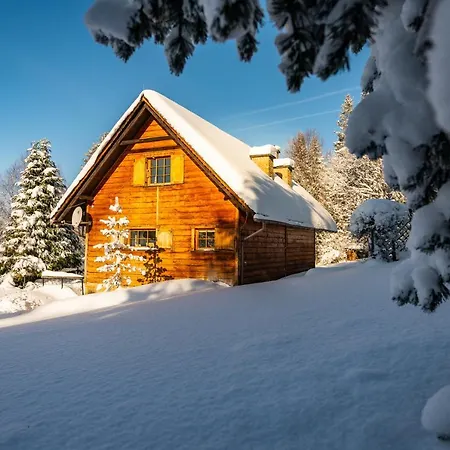 Jarzebata Holiday home *