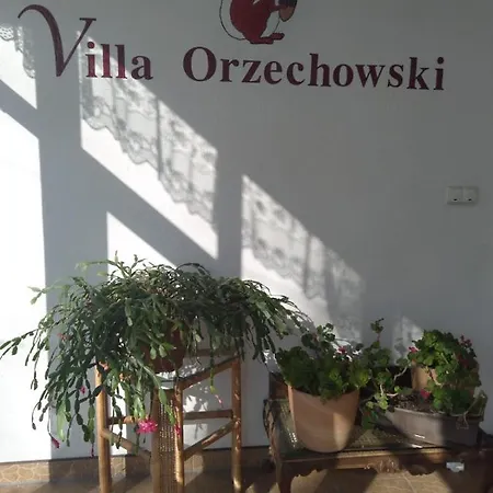 Orzechowski Bed & Breakfast