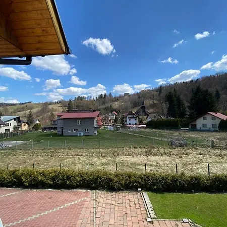 Niutek * Wisla