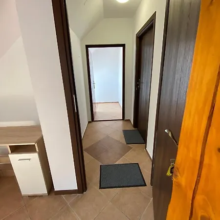Guest house Niutek