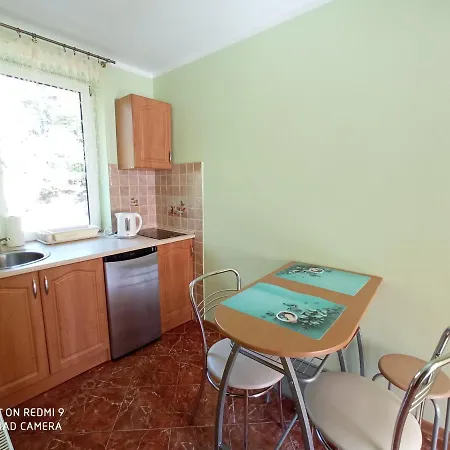 Apartment Goscinne 