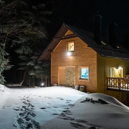 Jarzebata Holiday home Wisla