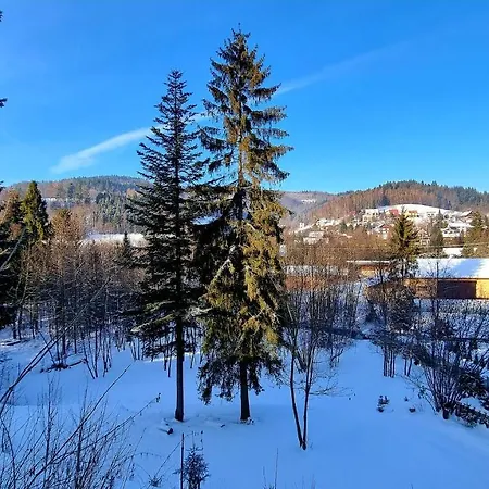 Bed & Breakfast Barrettski Wisla