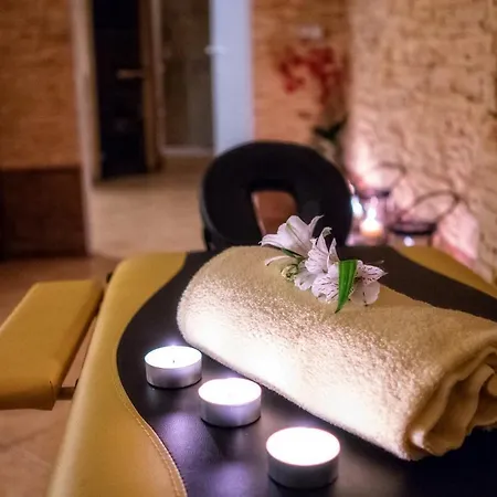 Pod Golebiem Hotel