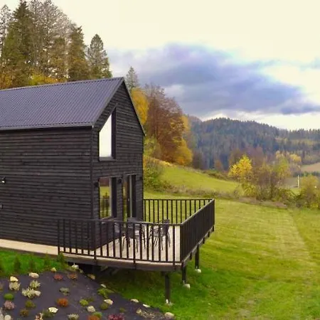 Cozy House * Wisla