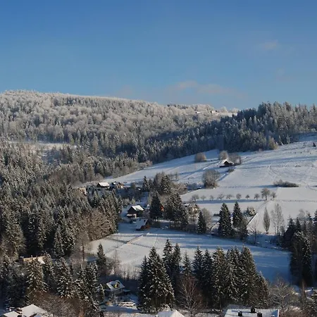 Goscinne Angelika * Wisla