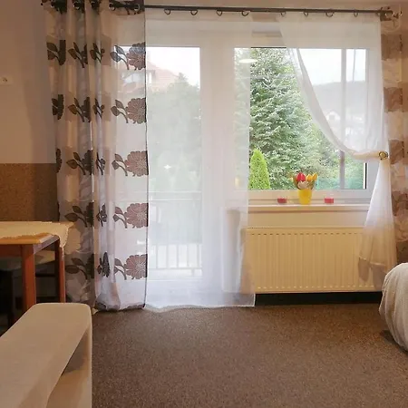 Willa Jaworowy Zdroj Guest house *