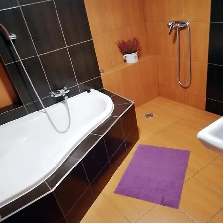 Willa Jaworowy Zdroj Guest house Wisla