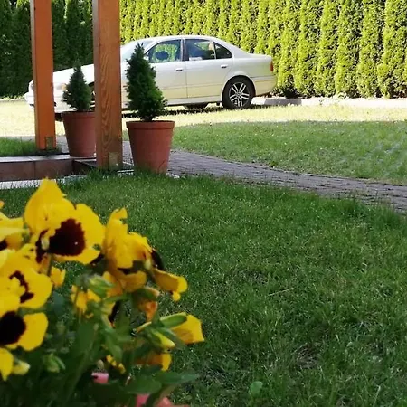 Guest house Willa Jaworowy Zdroj Wisla