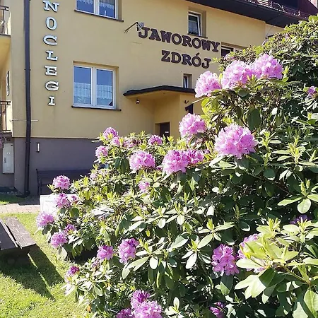 Guest house Willa Jaworowy Zdroj Wisla