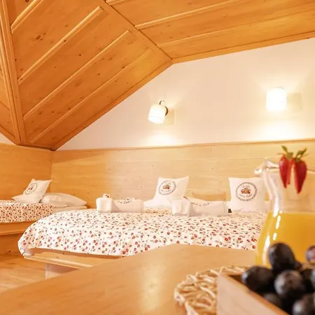 Bed & Breakfast U Babci