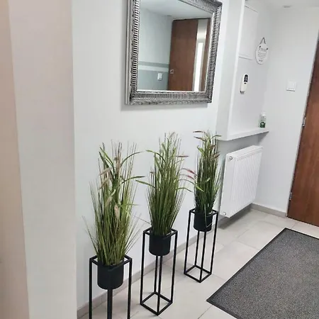 Apartment Mala Beskidzka