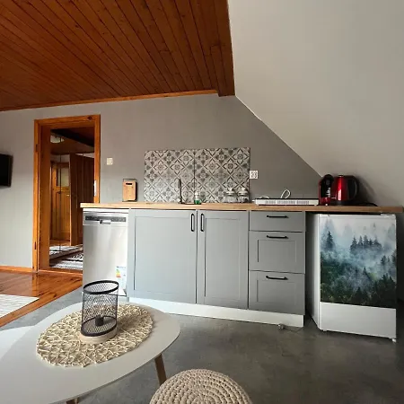 Przy Stoku I Potoku Apartment Wisla