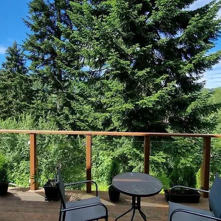 Barrettski Bed & Breakfast Wisla