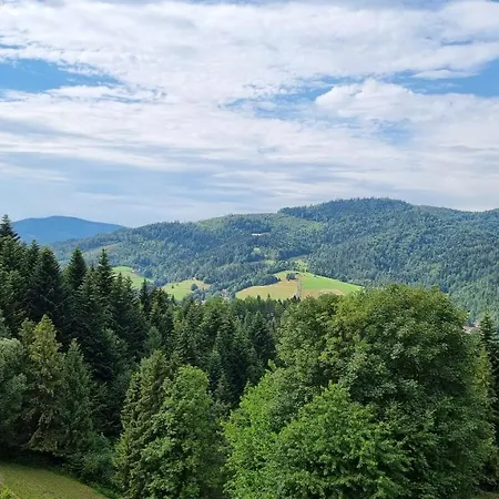 Bed & Breakfast Barrettski Wisla
