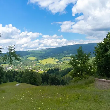 - Centrum, Z Wislaczkiem - Dream Wisla