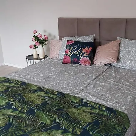 Apartment Montania *