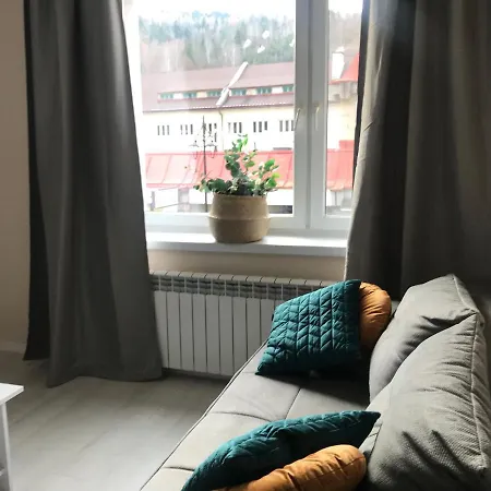 Vistula Centrum 4 Apartment Wisla