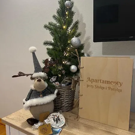Przy Stoku I Potoku Apartment Wisla