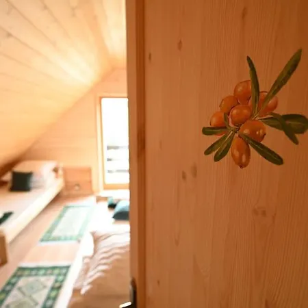 Poziomkowy Dom- Wisla, Dom Z Bali, Sauna, Taras Villa