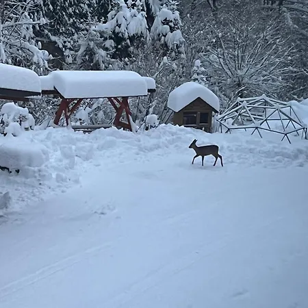 Kadlubek Farm stay Wisla