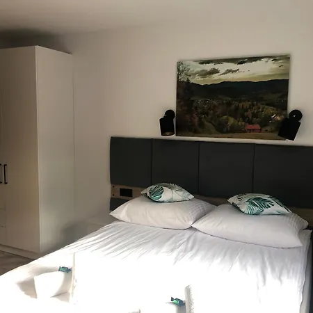 Wislanskie Doliny Guest house Wisla
