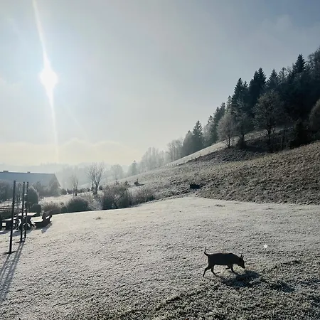 Kadlubek * Wisla