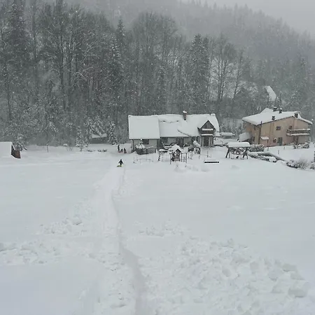 Kadlubek * Wisla