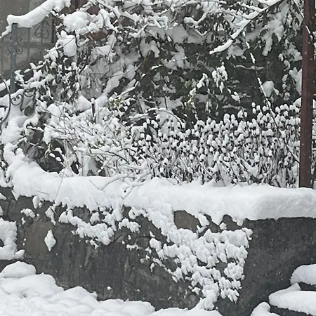Kokosowa Homestay Wisla