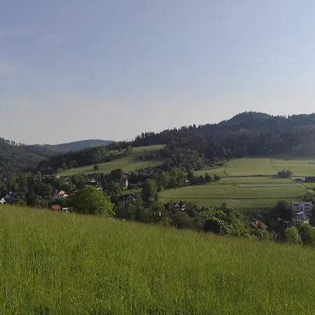 Krzywa 8 *