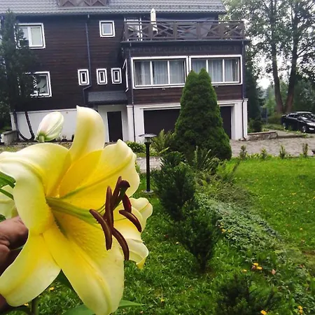 Bed & Breakfast Klonowa