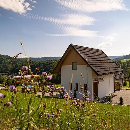 Chalet W Gorach 