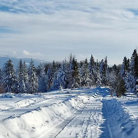 Bed & Breakfast Zagroda Lepiarzowka *