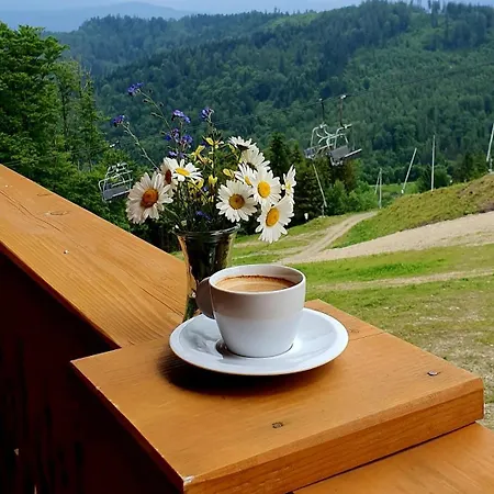 Apartment Na Soszowie: Scenic Retreat With Hot Tub & Sauna, Near Slopes Wisla