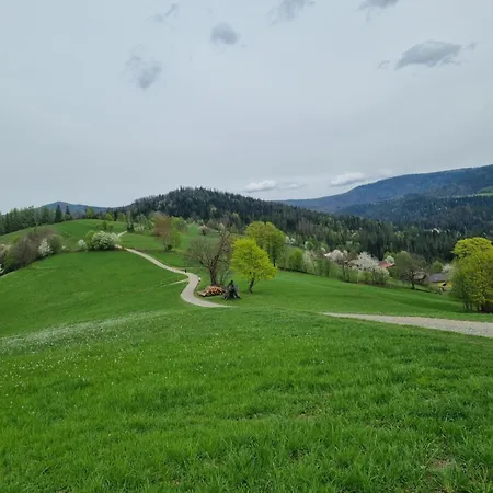 U Uli Wisla