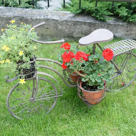 Bed & Breakfast Stareczka