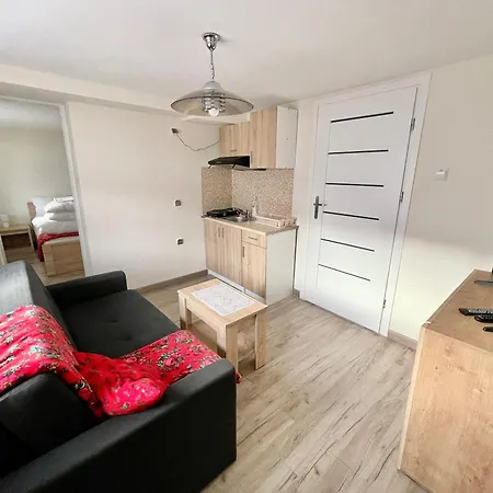 Apartment Mala Beskidzka *