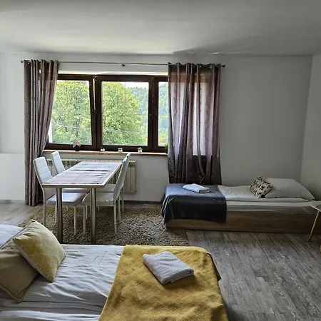 Guest house Olivia Wisla