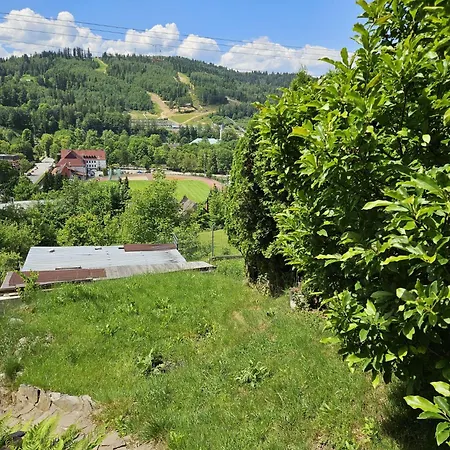 Olivia Guest house
