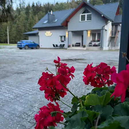 Guest house Pokoje Vik-house Wisla
