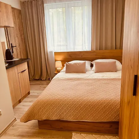 Pokoje Vik-house * Wisla