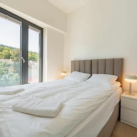 Apartment Przy Deptaku W Wisle - 500 M Do Rynku - Dream *
