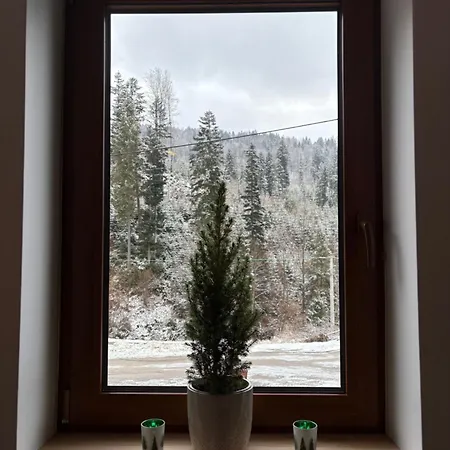 Gosciejowka Na Skraju Lasu Wisla