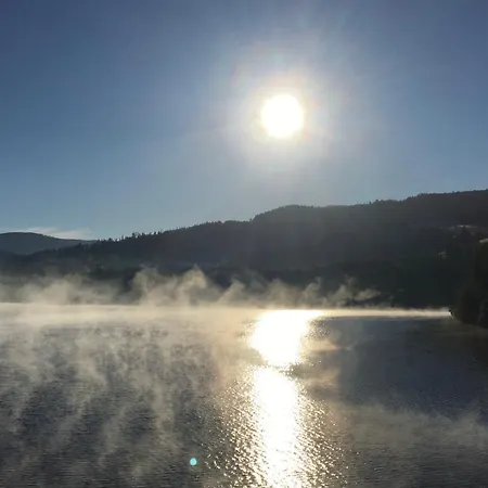 Chalet Gosciejowka Na Skraju Lasu Wisla