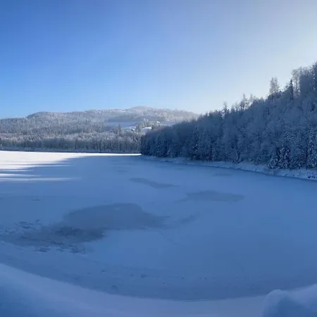 Gosciejowka Na Skraju Lasu * Wisla