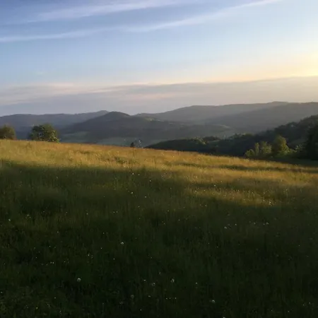 Gosciejowka Na Skraju Lasu